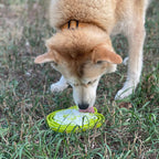 Slow Feeder Bowl product image 11