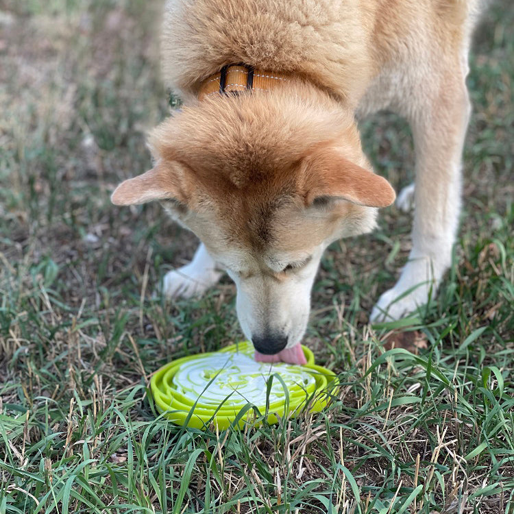 Slow Feeder Bowl product image 11