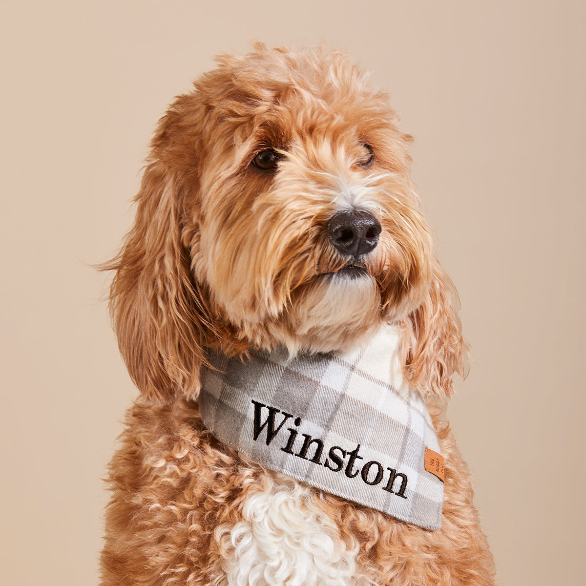 Dog Bandana product image 3