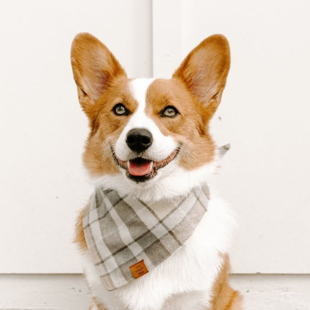 Dog Bandana product image 5