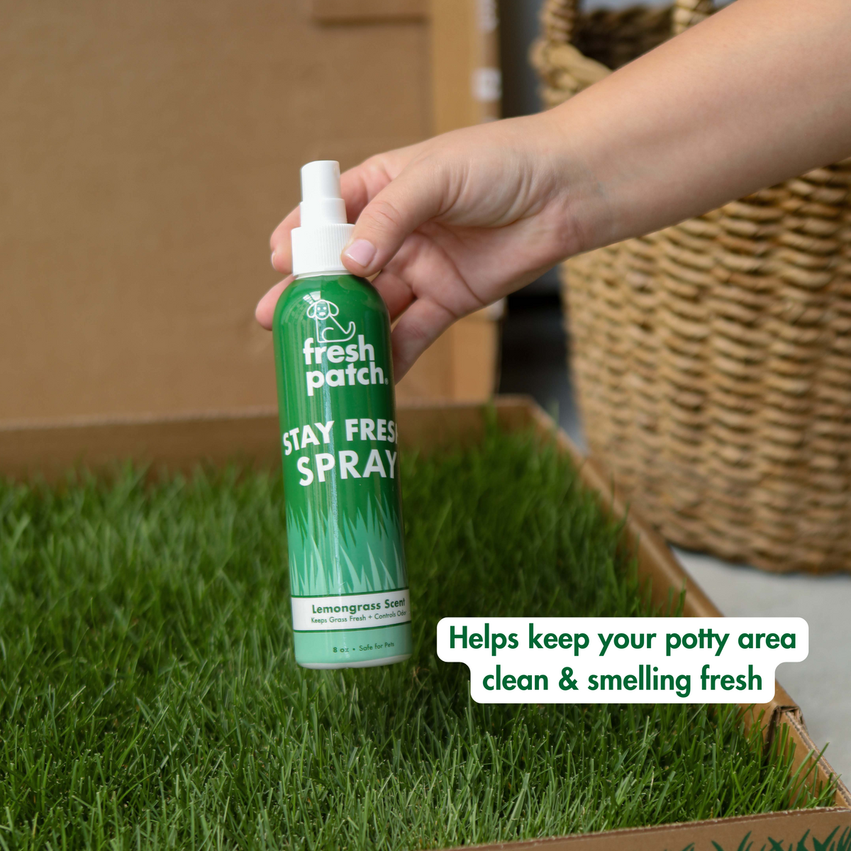 Dog Potty Training Kit product image 9