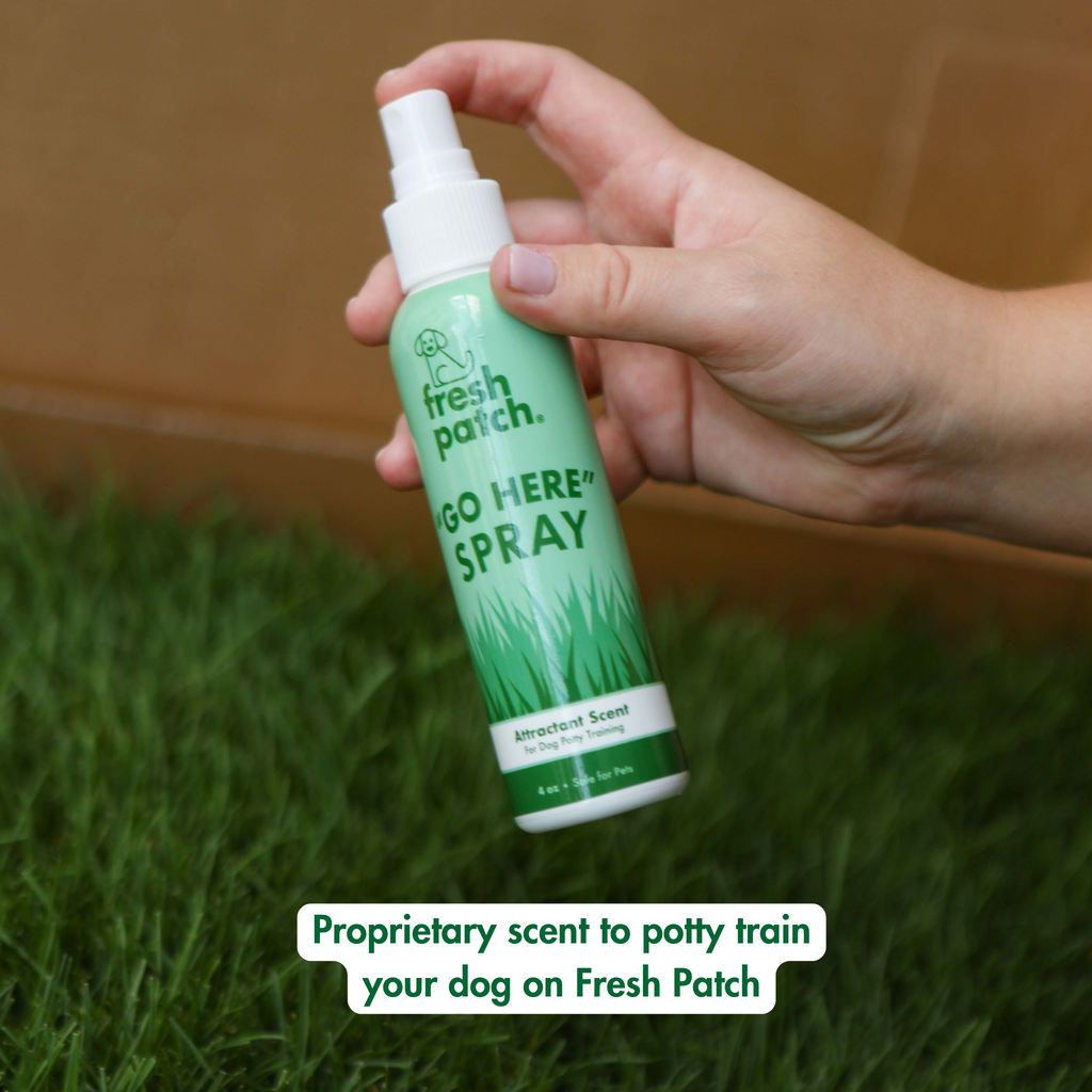 Dog Potty Training Kit product image 10