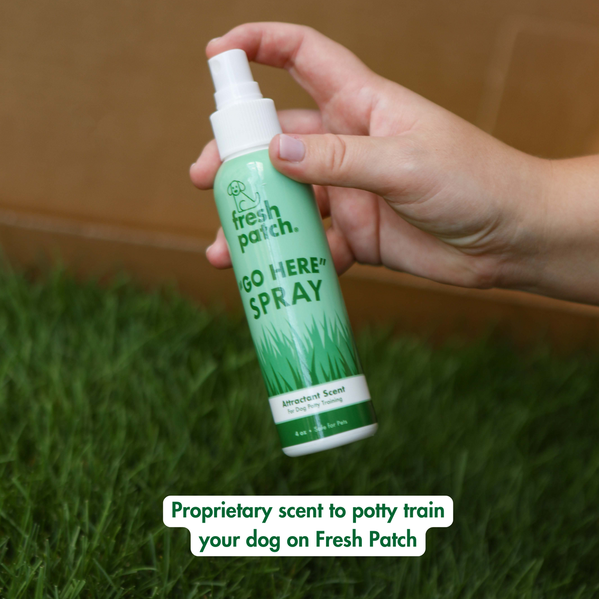 Dog Potty Training Kit product image 10