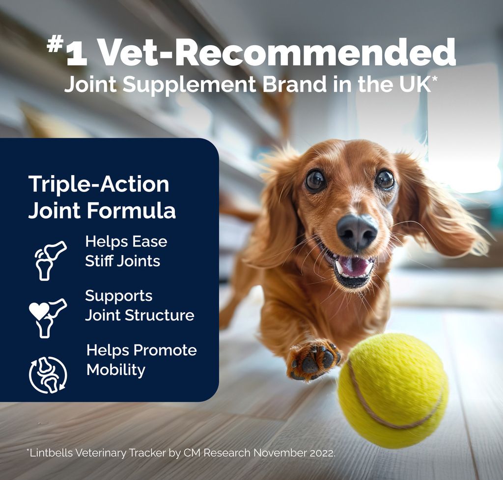 Advanced Joint Support Tablets for Dogs product image 4
