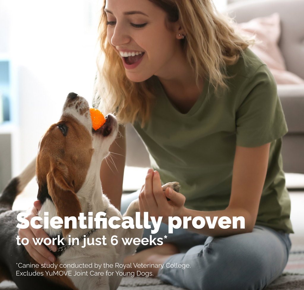 Advanced Joint Support Tablets for Dogs product image 5
