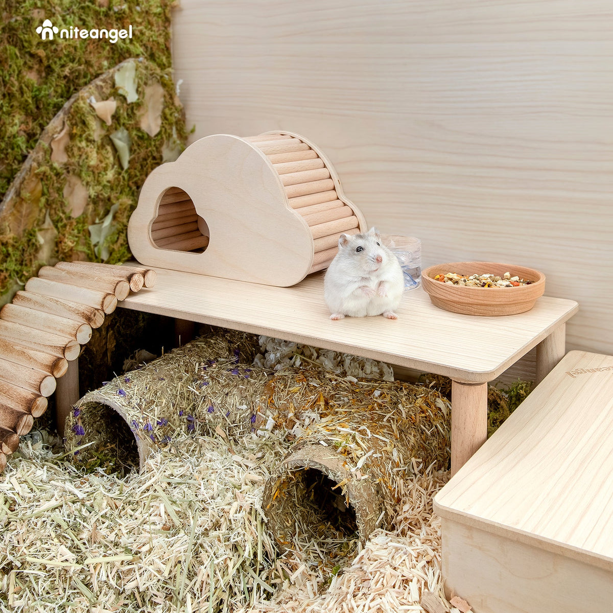 Small Animal Platform product image 5