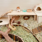 Small Animal Platform product image 16