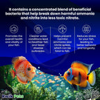 Aquarium Bacteria Treatment product image 3