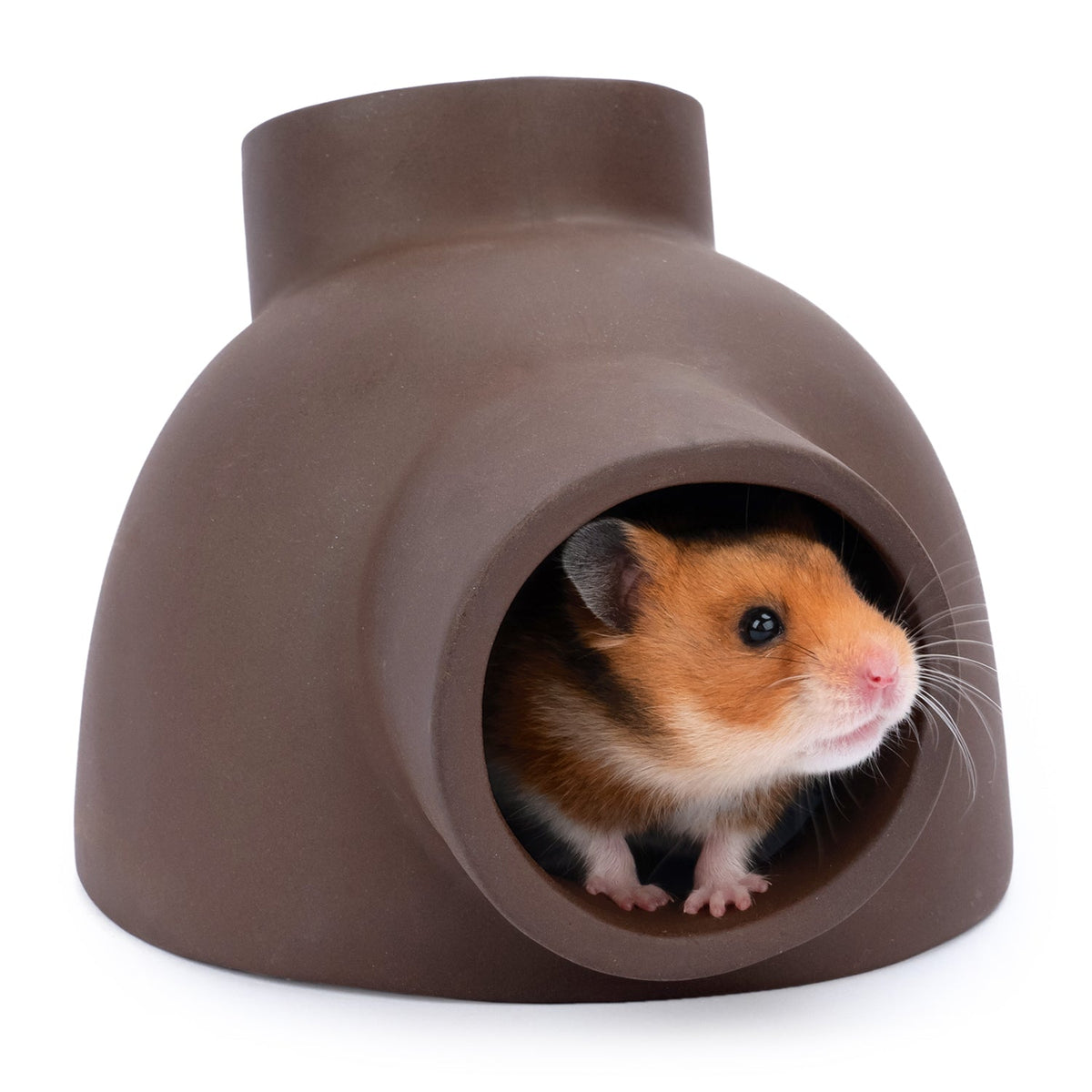 Ceramic Hamster Tunnel product image 11