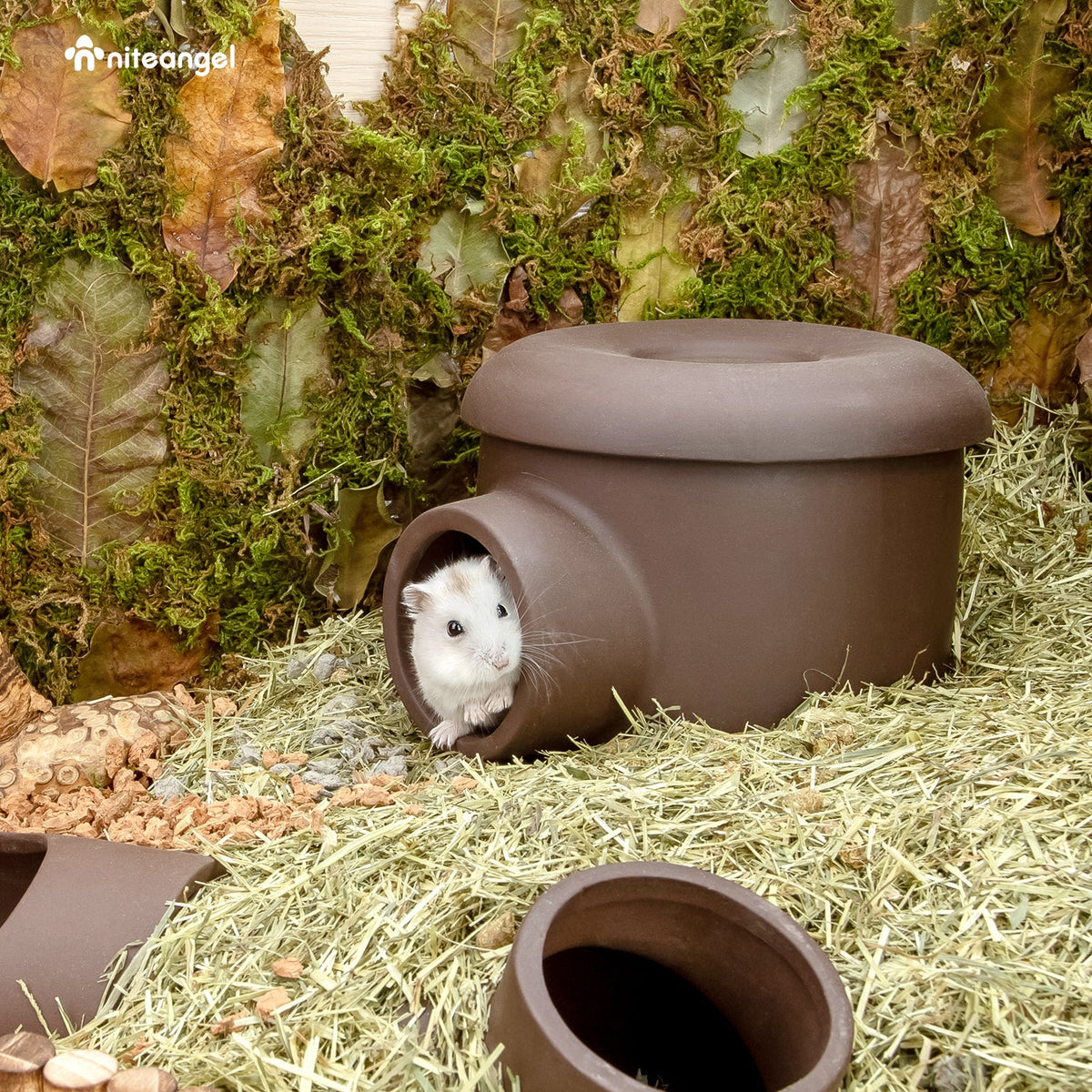 Ceramic Hamster Tunnel product image 16