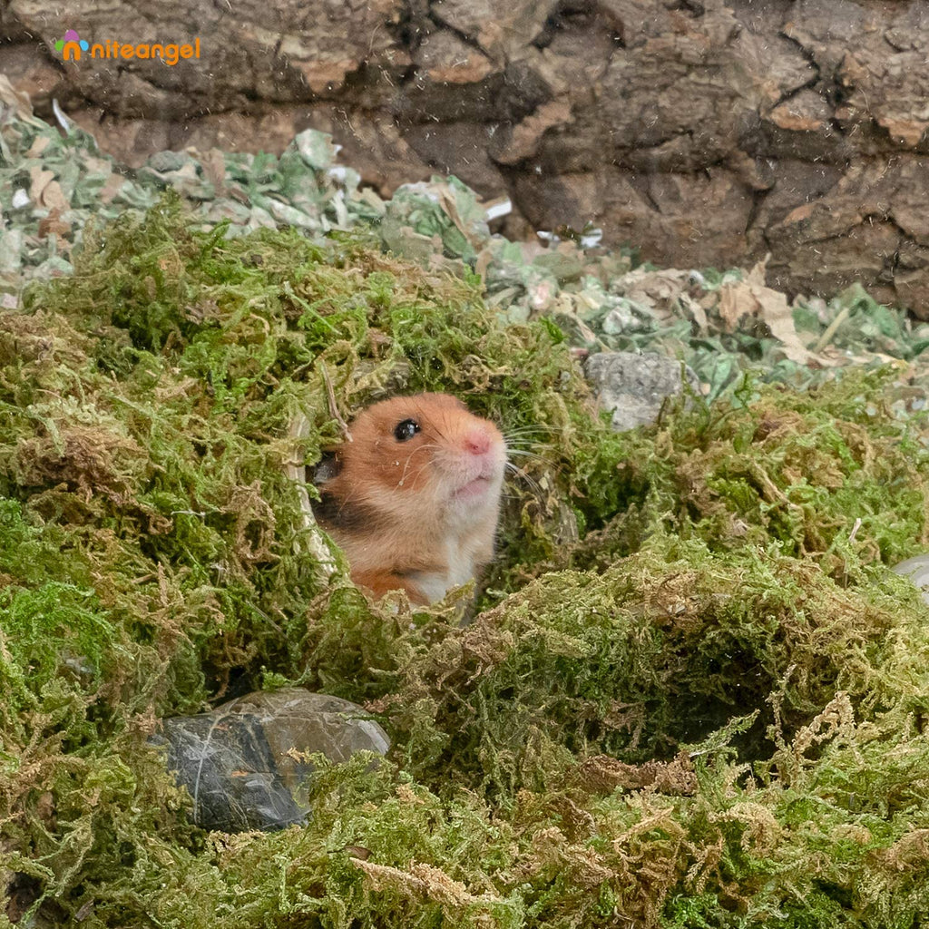 Small Animal Bedding product image 5