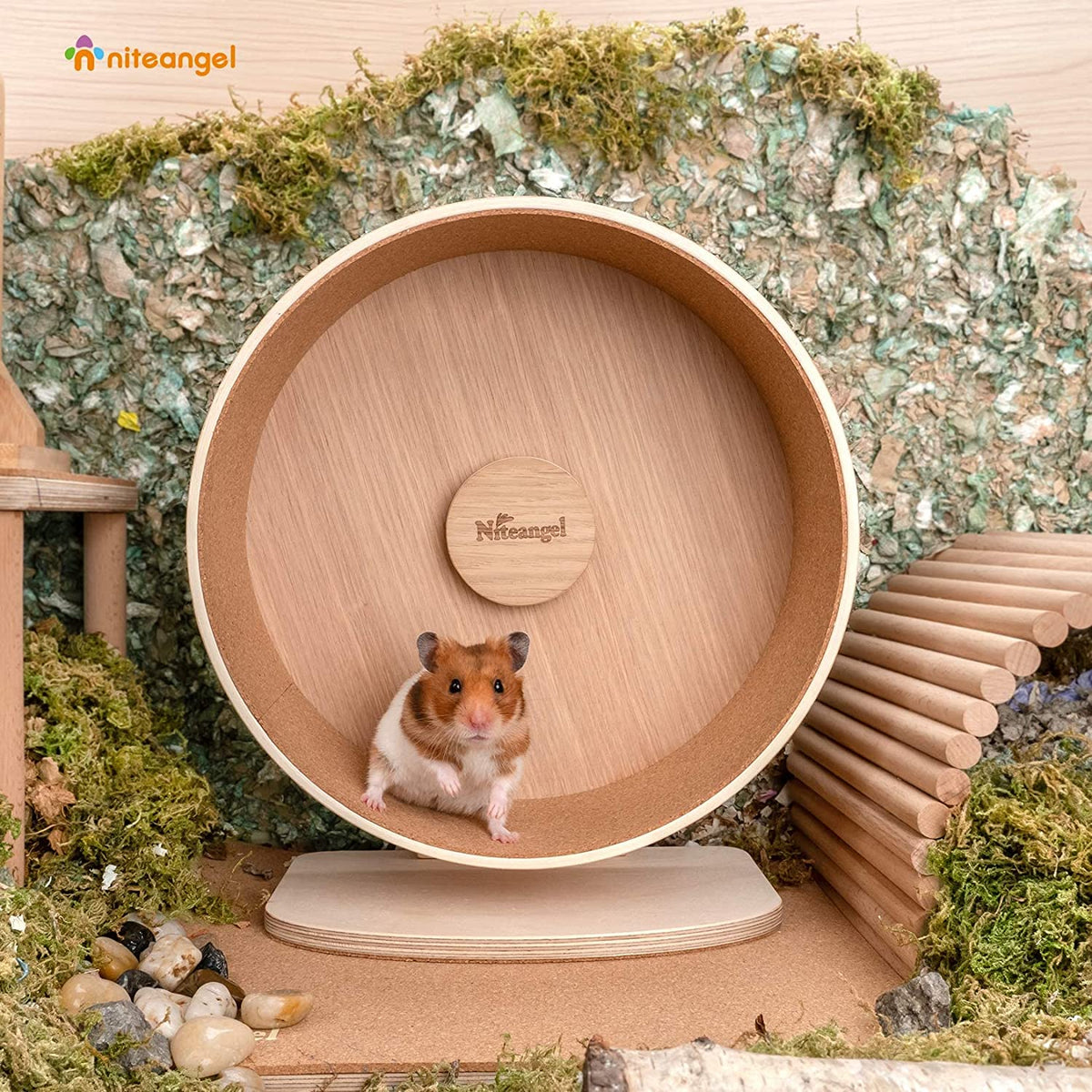 Hamster Exercise Wheel product image 1
