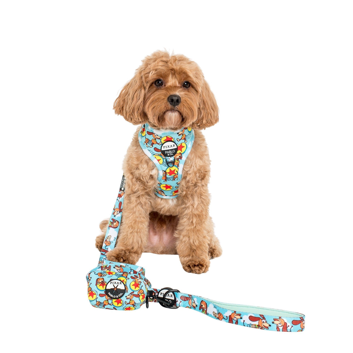 Dog Poop Bag Holder product image 4