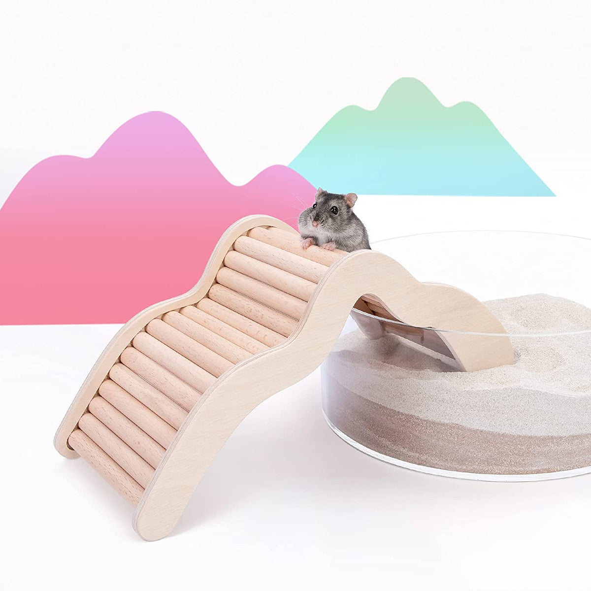 Hamster Ladder Bridge product image 1