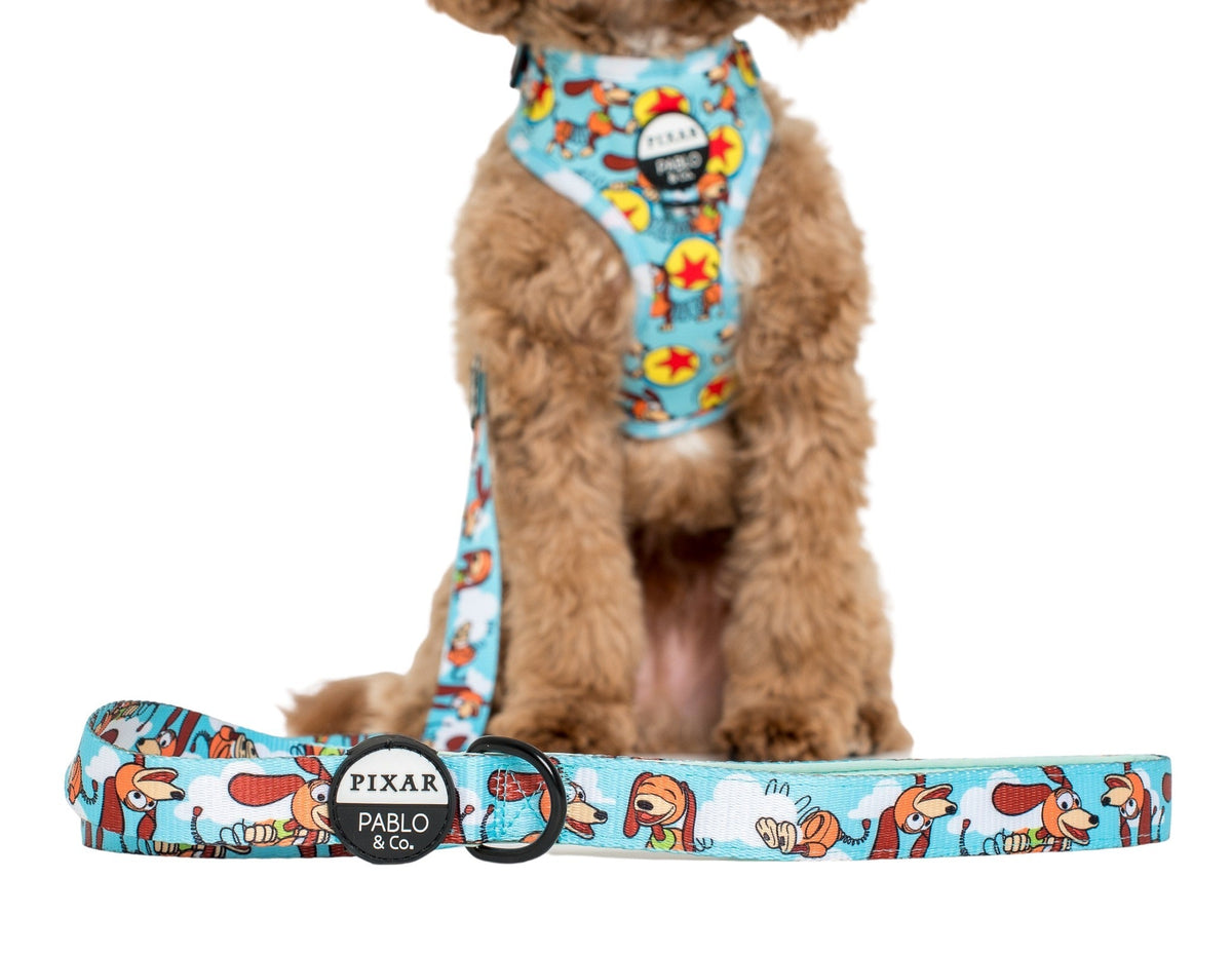Dog Leash product image 1