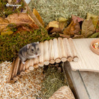 Small Animal Climbing Bridge product image 7