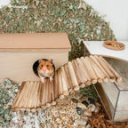 Small Animal Climbing Bridge product image 11