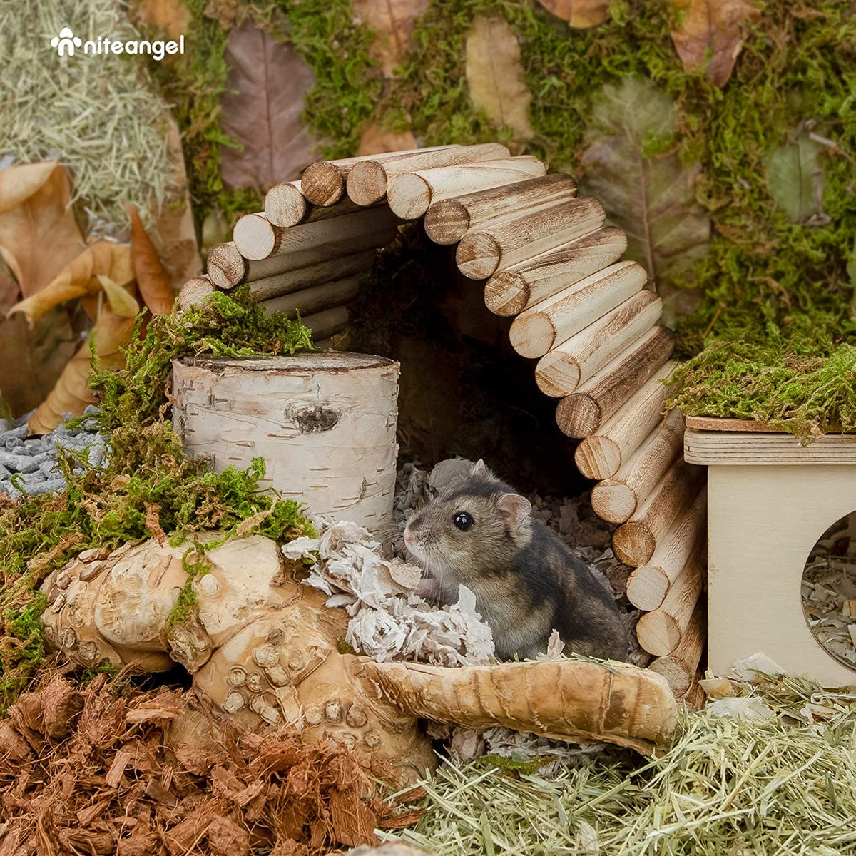 Small Animal Climbing Bridge product image 15