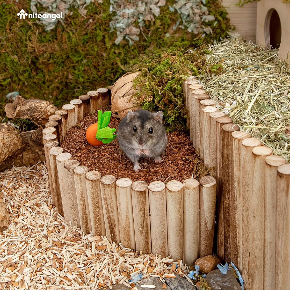Small Animal Climbing Bridge product image 16