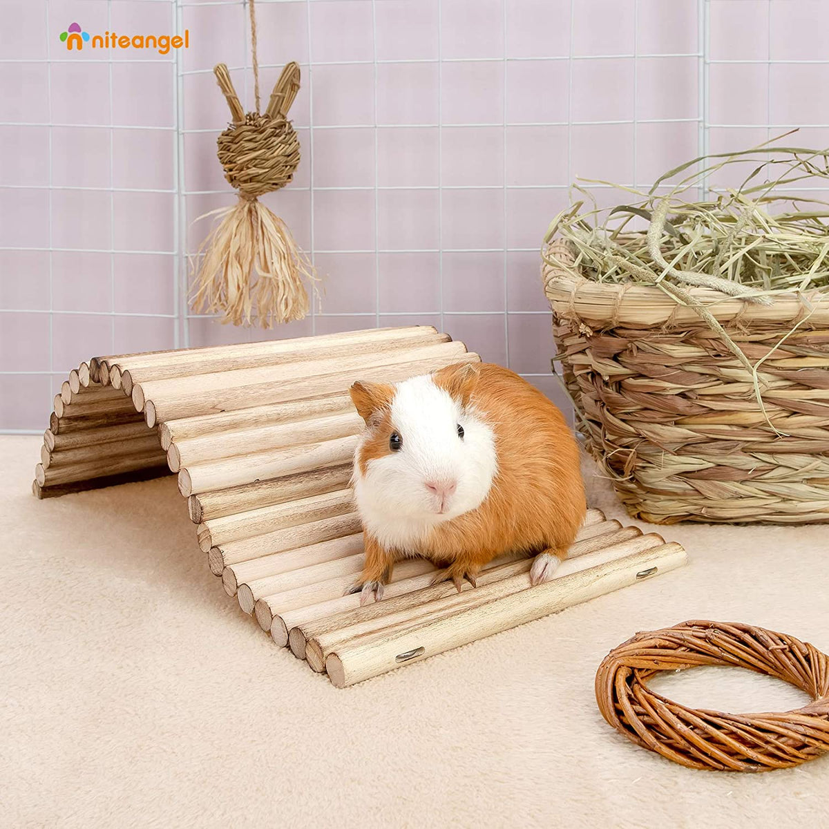 Small Animal Bridge product image 12