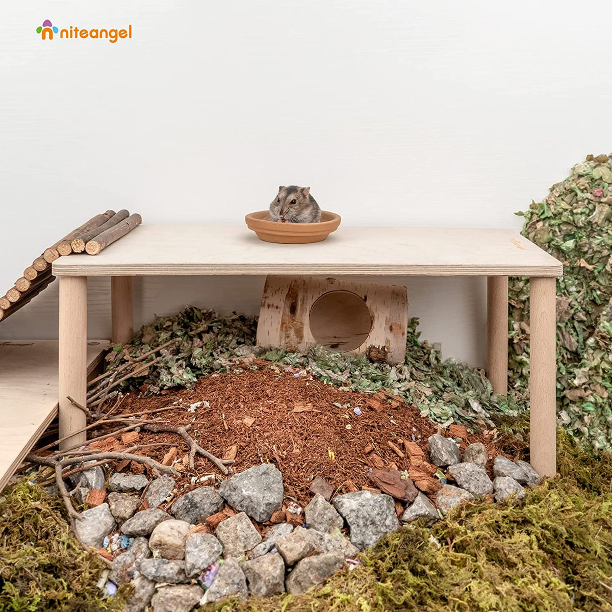 Small Animal Platform product image 1