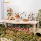Small Animal Platform product image 15