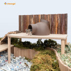 Small Animal Platform product image 18