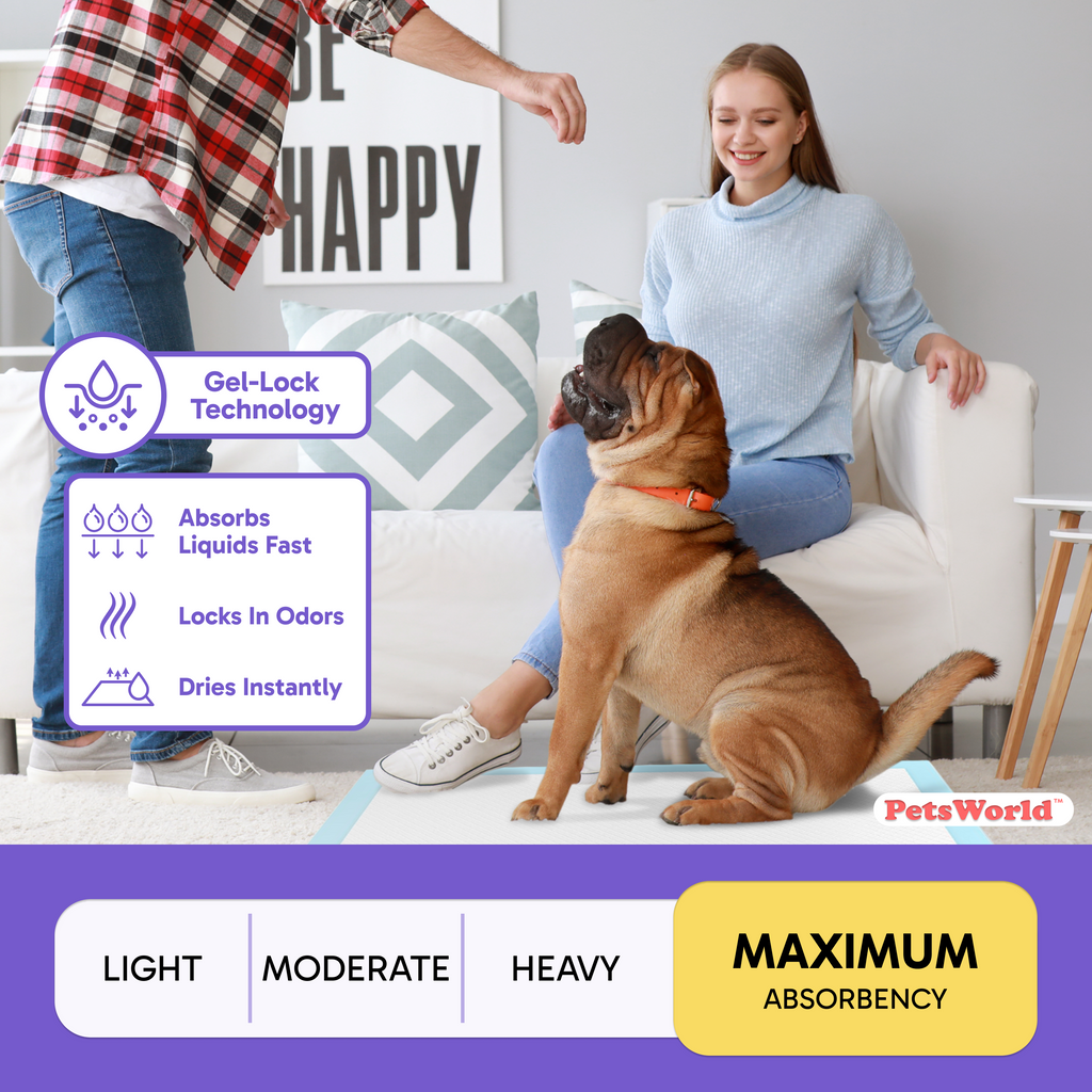 Extra-Large Dog Training Pads product image 9