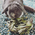 Rabbit Chew Toy product image 1