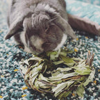 Rabbit Chew Toy product image 1