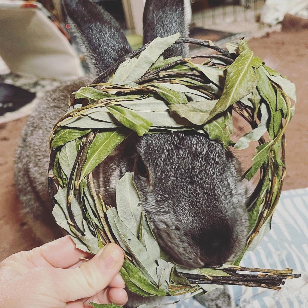 Rabbit Chew Toy product image 3