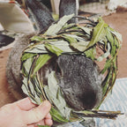 Rabbit Chew Toy product image 3