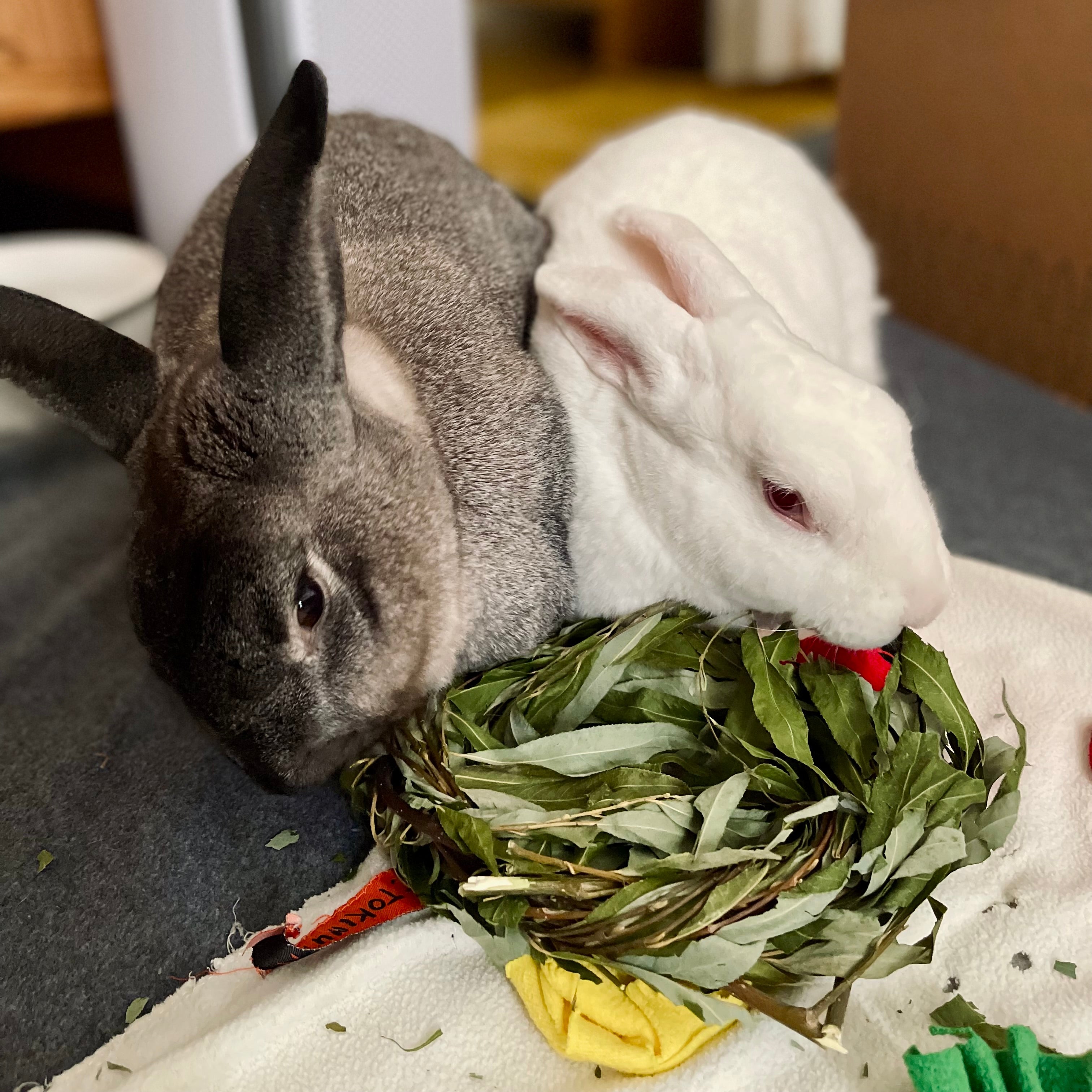 Rabbit Chew Toy product image 5