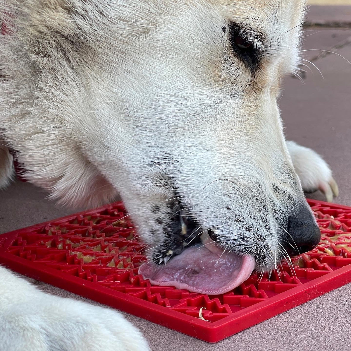 Pet Lick Mat product image 9