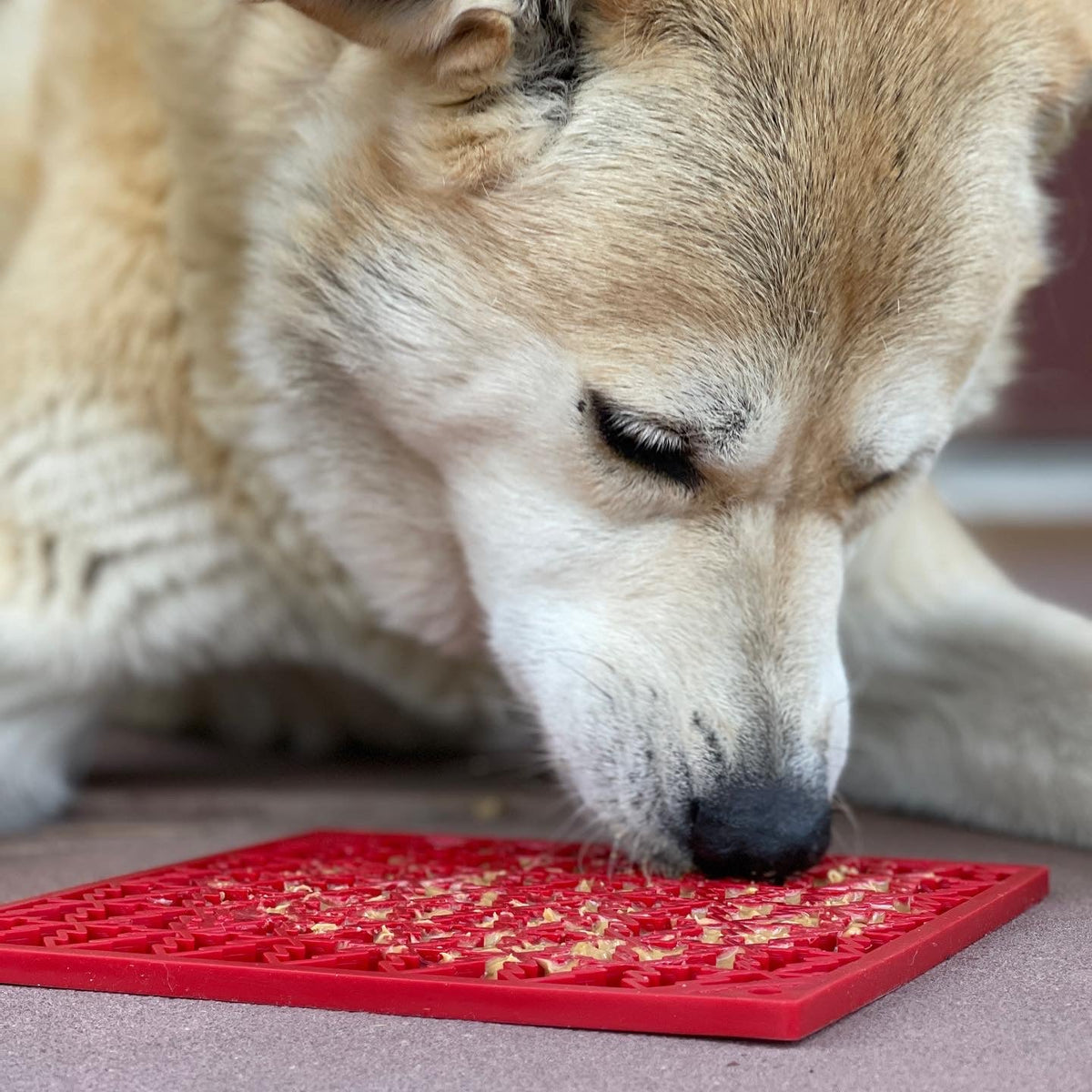 Pet Lick Mat product image 10