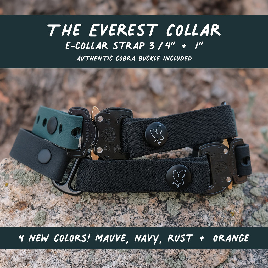The Everest E Collar Strap