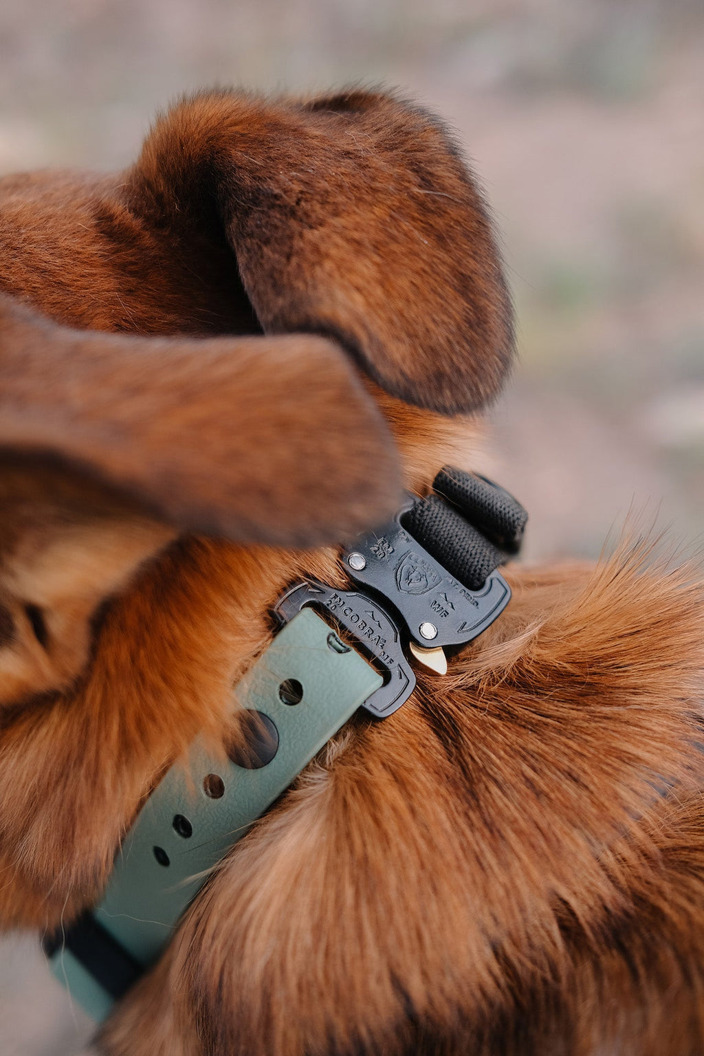 The Everest E Collar Strap