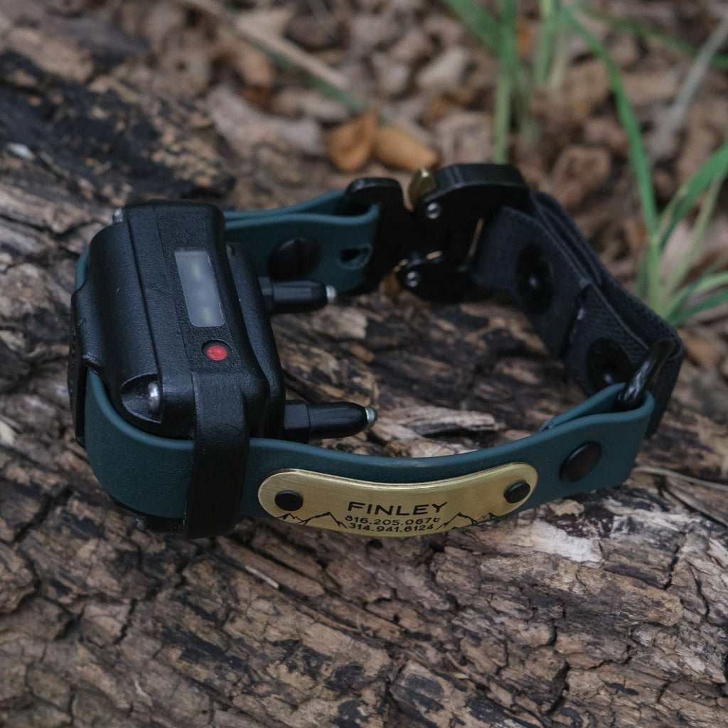 The Everest E Collar Strap