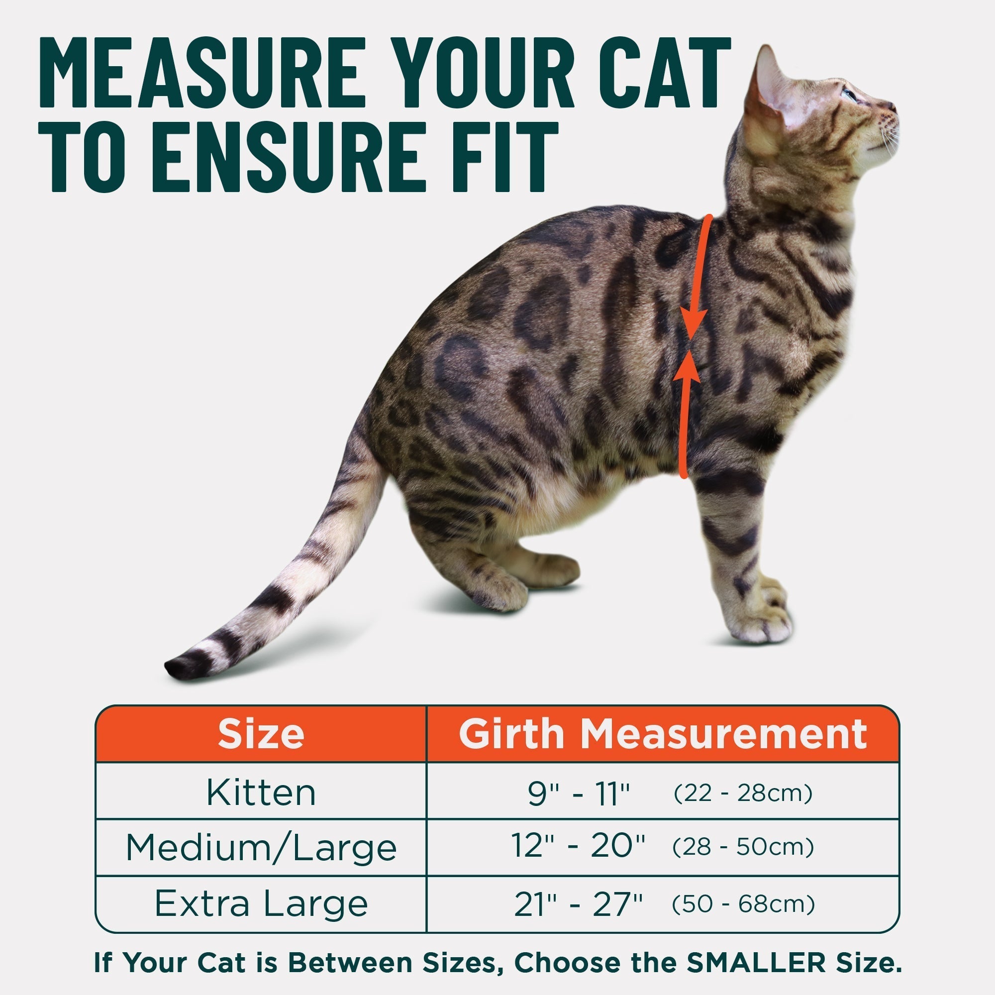 Houdini™ Escape-Proof Cat Harness - OutdoorBengal