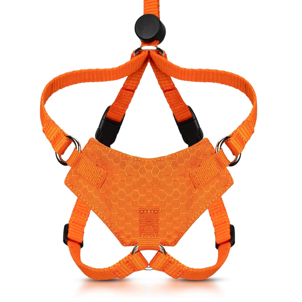 Houdini™ Escape Proof Cat Harness - OutdoorBengal