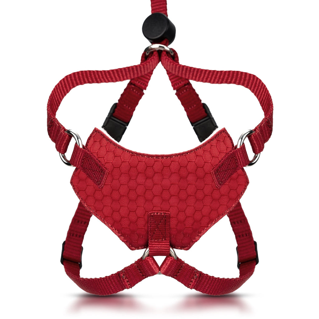 Houdini™ Escape Proof Cat Harness - OutdoorBengal