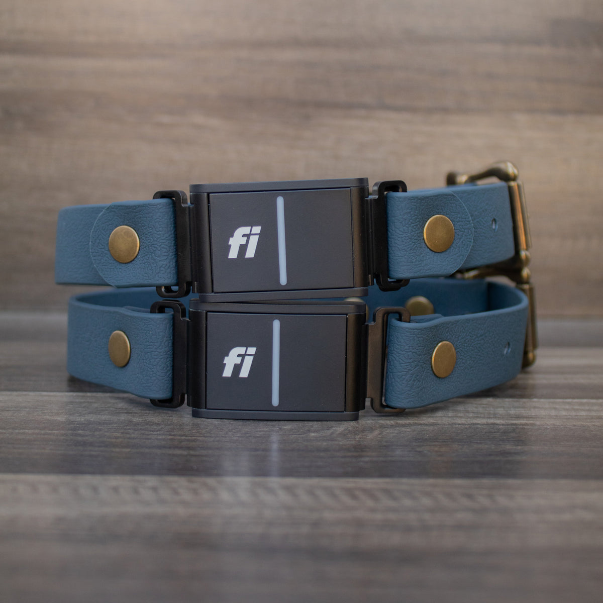 Fi Collar Add-On product image 1