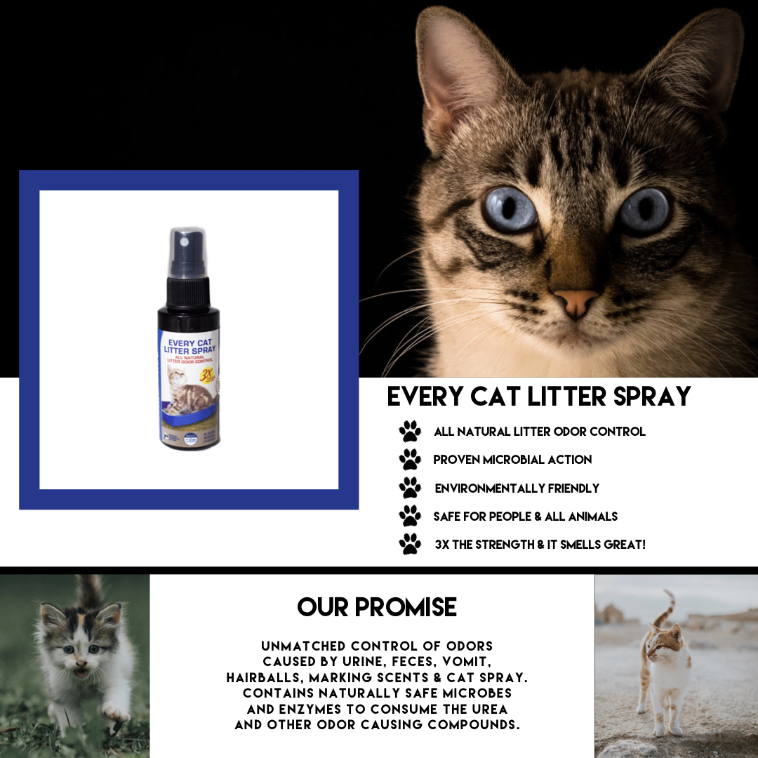 Litter Box Deodorizer product image 5