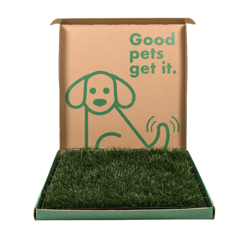 Real Grass Dog Potty and Tray Default Title