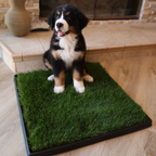 Real Grass Dog Potty and Tray product image 2