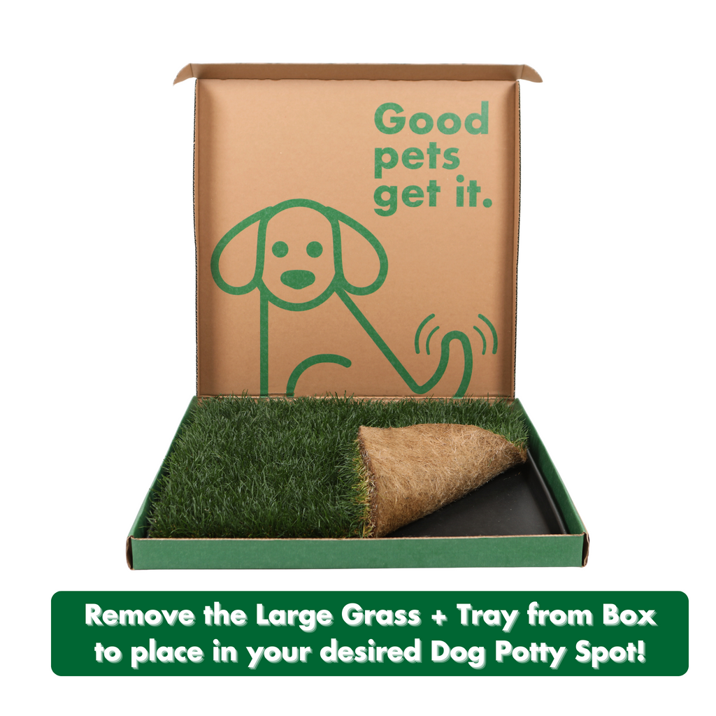 Real Grass Dog Potty and Tray product image 4