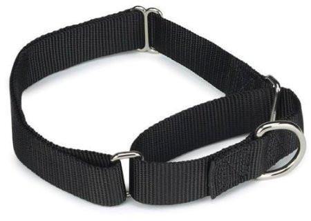 Martingale Dog Collar product image 2