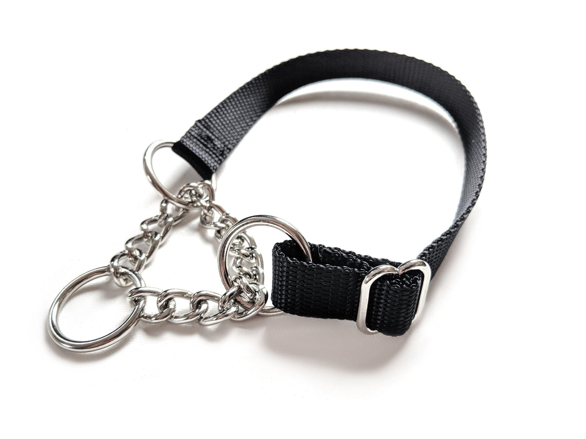 Martingale Dog Collar product image 2