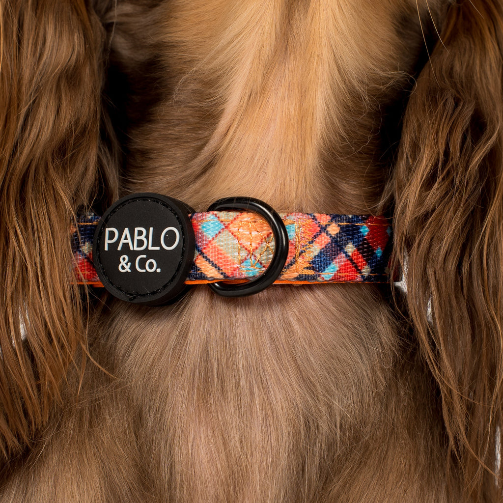 Dog Collar product image 2