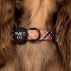 Dog Collar product image 2
